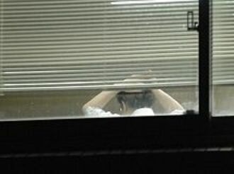 １９．２％--週６０時間以上働く子育て世代の男性従業者の割合（２００８年）《気になる数字》