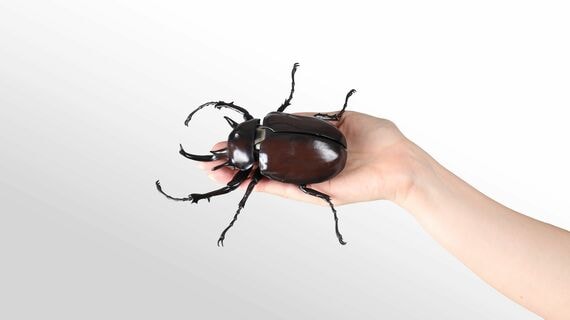 カブトムシのガシャポン