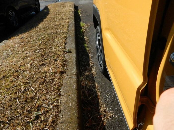 映像時の路肩と車体の距離