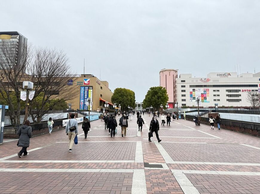 左が「丘の上プラザ」、右が「ココリア多摩センター」（筆者撮影）