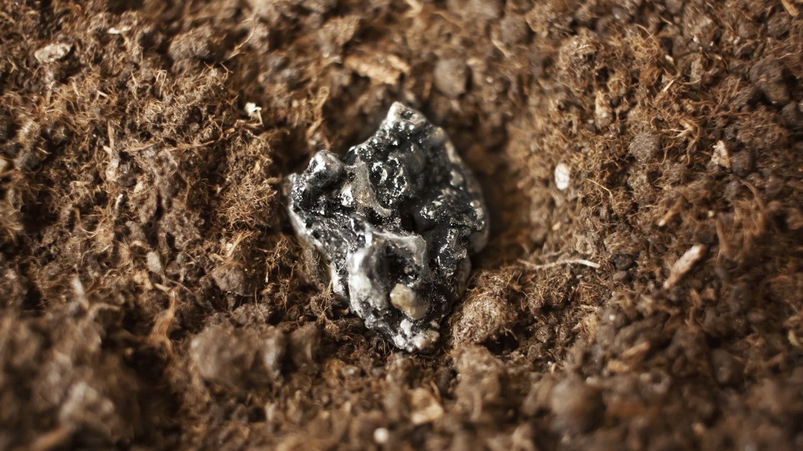 人気の連載「2024年に知っておきたい！「あのアノマリー」を検証」の記事一覧｜会社四季報オンライン