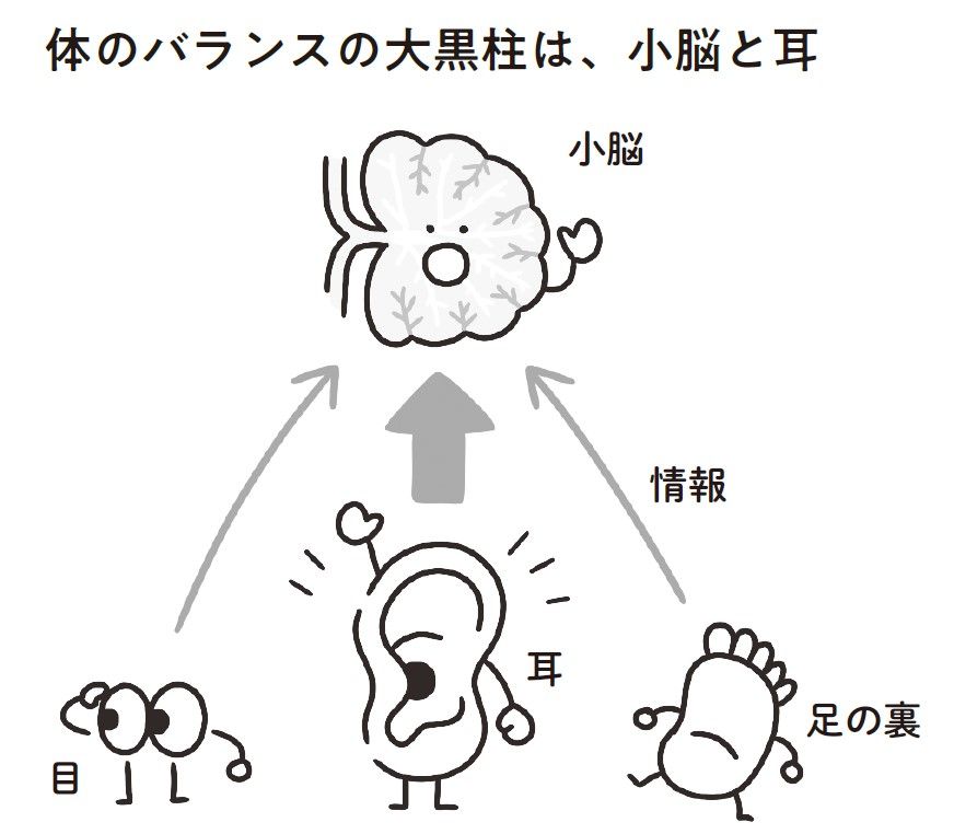 （出所：『1万人を治療してきた名医が教える 自力で治すめまいのリセット法』より）