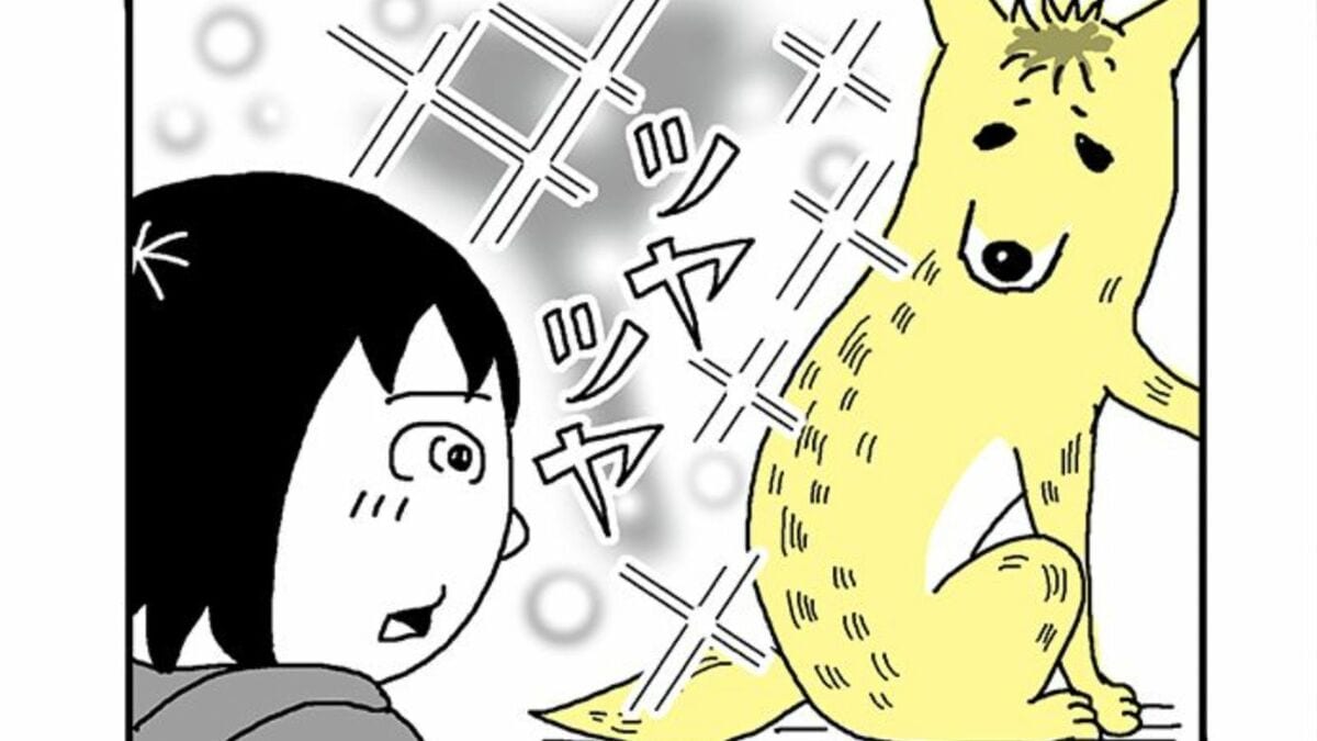漫画『姉の犬から目が離せない』第5話：妹がため息犬と初めて触れ合う