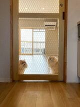 扉を引き戸にし、両面サムターン錠で施錠するタイプの物件