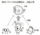 （出所：『1万人を治療してきた名医が教える 自力で治すめまいのリセット法』より）