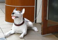 体の免疫力は｢Aのダブル摂取｣で強くなる “番犬”を普段のコンビニ飯で育てるには？