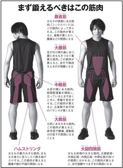 筋トレで人生が変わった 29歳男性のリアル Aera Dot 東洋経済オンライン 経済ニュースの新基準