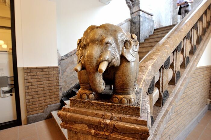 境内には多くの「動物」が