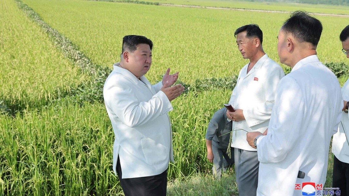 台風被害を受けた江原道安辺郡の農場の復旧活動を視察する金正恩朝鮮労働党総書記。日時は不明だが、朝鮮中央通信が8月18日に報じた(写真・朝鮮通信/共同通信イメージズ)