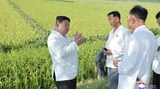 台風被害を受けた江原道安辺郡の農場の復旧活動を視察する金正恩朝鮮労働党総書記。日時は不明だが、朝鮮中央通信が8月18日に報じた（写真・朝鮮通信／共同通信イメージズ）