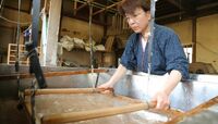 世界が認める｢和紙｣は､こんなにもスゴい！ 無形文化遺産に選ばれた伝統工芸の神髄