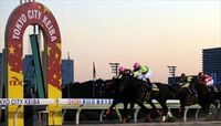 東京都競馬、若者のギャンブル離れに悩む “脱・競馬依存”を志向