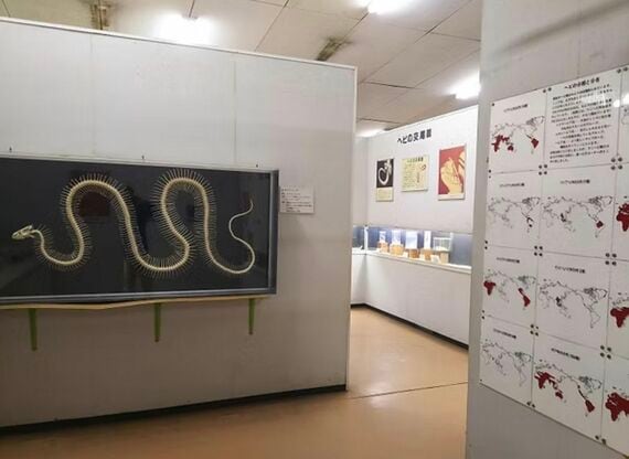 資料室
