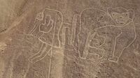 ナスカ近くで見つかった25超の地上絵の正体 ドローンを使って全容把握