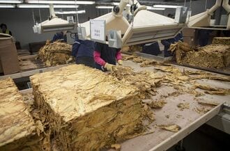 世界でわが道を行くJT､安い紙巻きたばこに注力