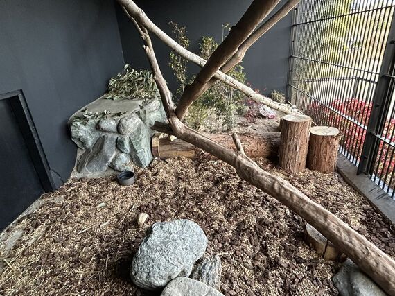 ごかつら池どうぶつパーク