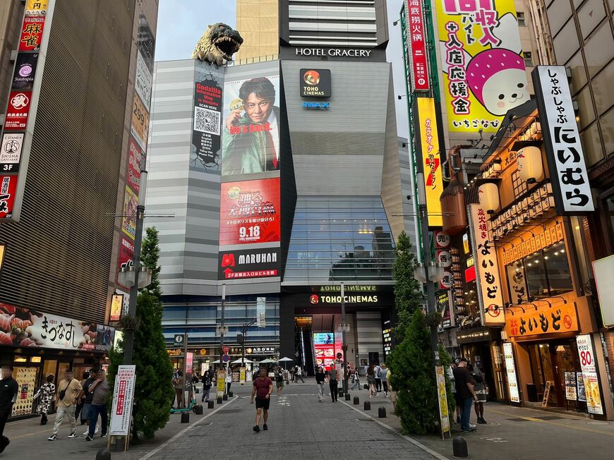 歌舞伎町 踊る大捜査線