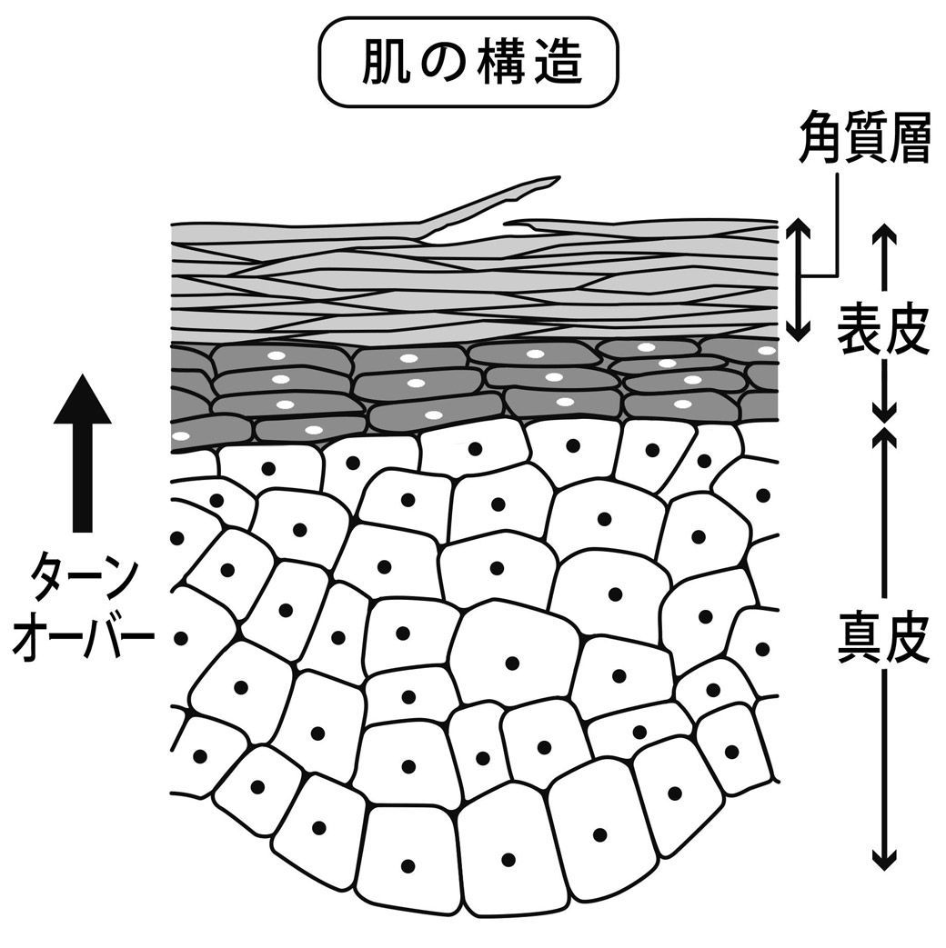 寝る前の化粧落とし を頑張るのは間違いだ ファッション トレンド 東洋経済オンライン 社会をよくする経済ニュース