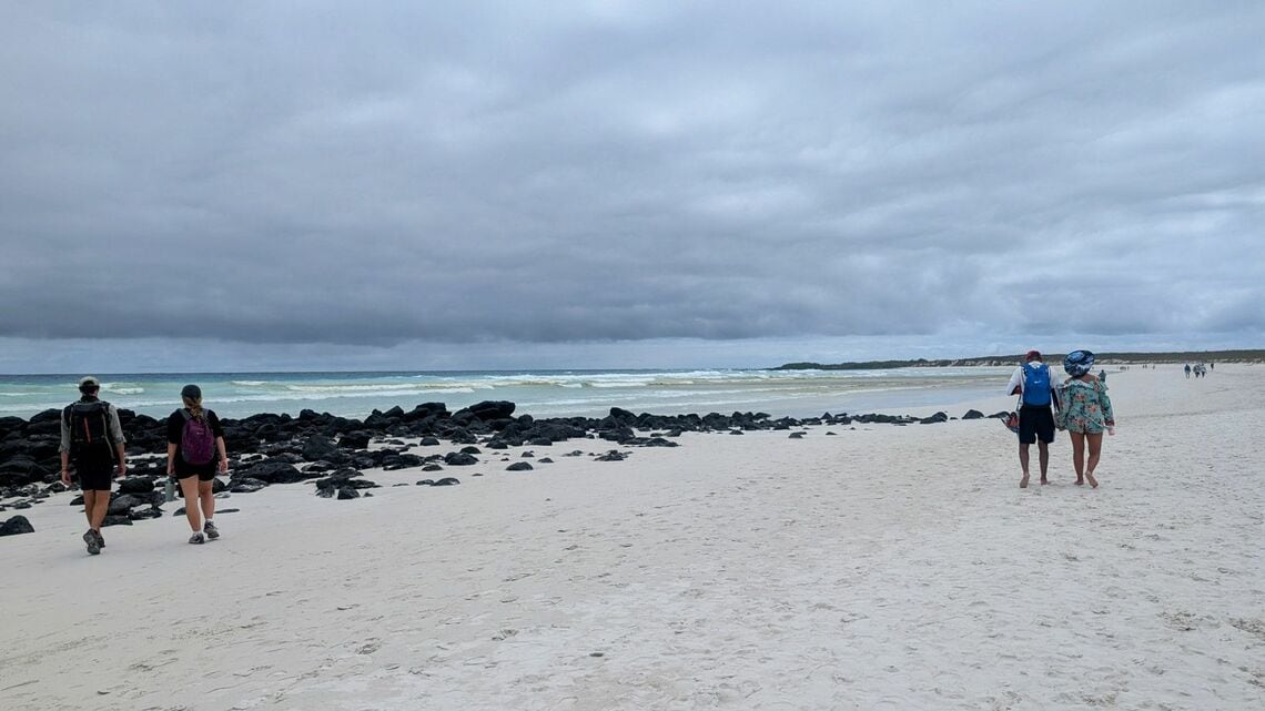 ガラパゴス諸島のビーチ