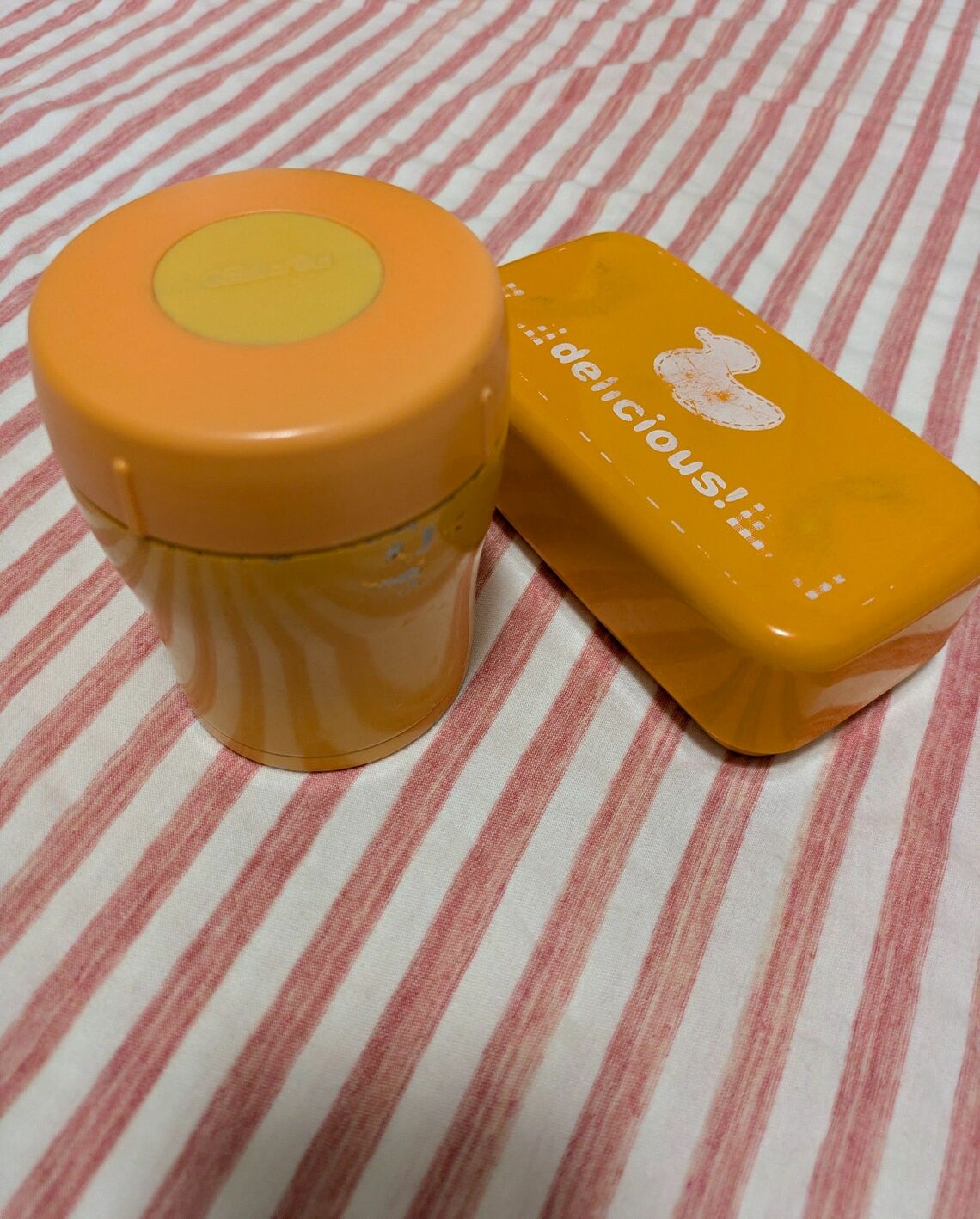 節約のため、お弁当を毎日自作して持っていっていた（写真・中川さん提供）