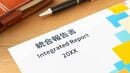 統合報告書･人的資本レポートなど開示情報は｢将来の給与｣を読み解くための宝の山､｢未来の手取り｣で会社を選ぶ④