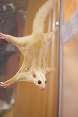 （写真：ひろさん提供）