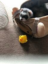 （写真提供：ミキさん）