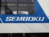 かつては側面に「SEMBOKU」のロゴが入っていた（写真：南海電気鉄道）