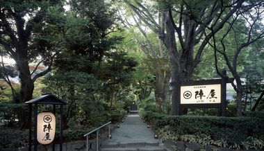 Engineer Saves Ryokan and Totoro Tree