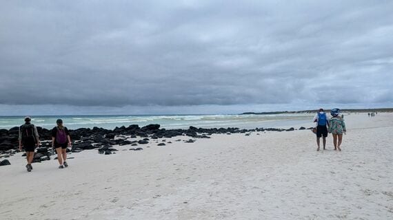 ガラパゴス諸島のビーチ