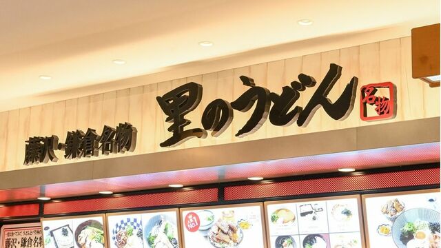 私は生まれなおしている :スーザン・ソンタグ,デイヴィッド