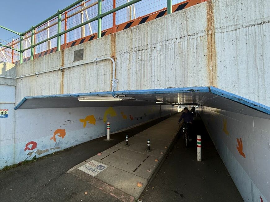 村岡新駅予定地付近で線路の南北を結ぶのは、現状、雨天時にすぐに冠水するこの地下通路と車1台が交互通行する跨線橋しかない（筆者撮影）