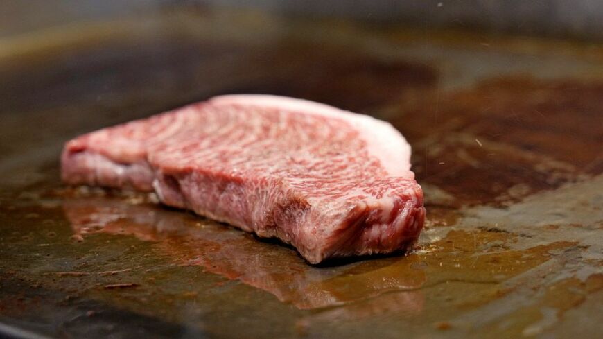 （撮影：梅谷秀司）