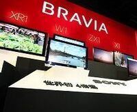 技術過信、国内依存が蝕む転換期の日の丸ＩＴ産業