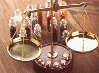 ｢丸暗記｣至上主義では､必ず壁にブチ当たる ｢イメージ化｣で記憶は驚くほど定着する