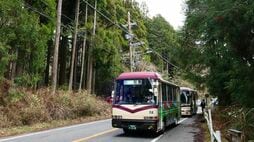 京都名物の「年1便・春分の日運行バス」。「乗り遅れたら、次は1年後」のバス成立の背景と、大混雑も「路線は年々減少」のワケ