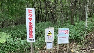 ｢忍者ヒグマ｣駆除でも終わらない北海道民の恐怖