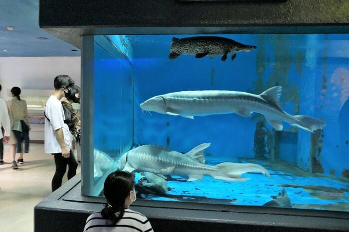 魚の国「昔のままの姿で」