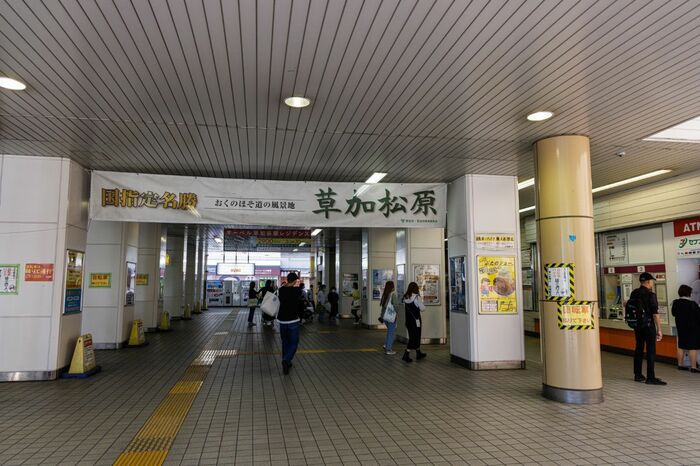草加松原は国指定の名勝で、草加市最大の観光地だ