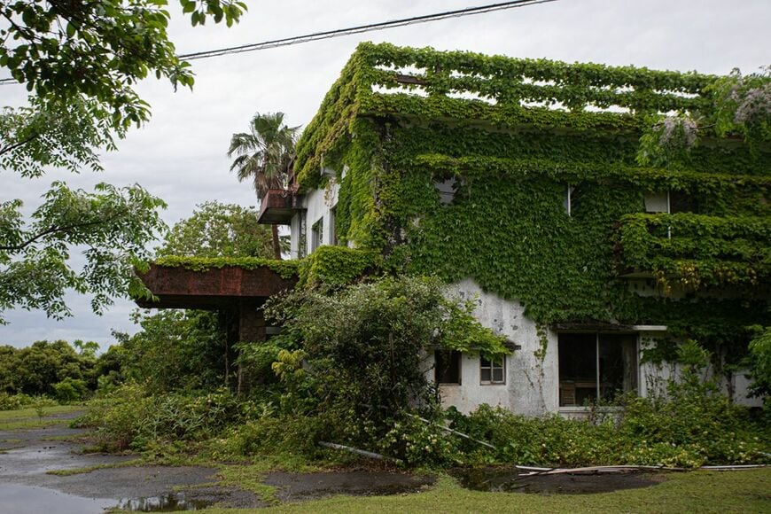廃墟となった都井岬荘。植物が建物をのみ込むような勢いで侵食している（写真：筆者撮影）
