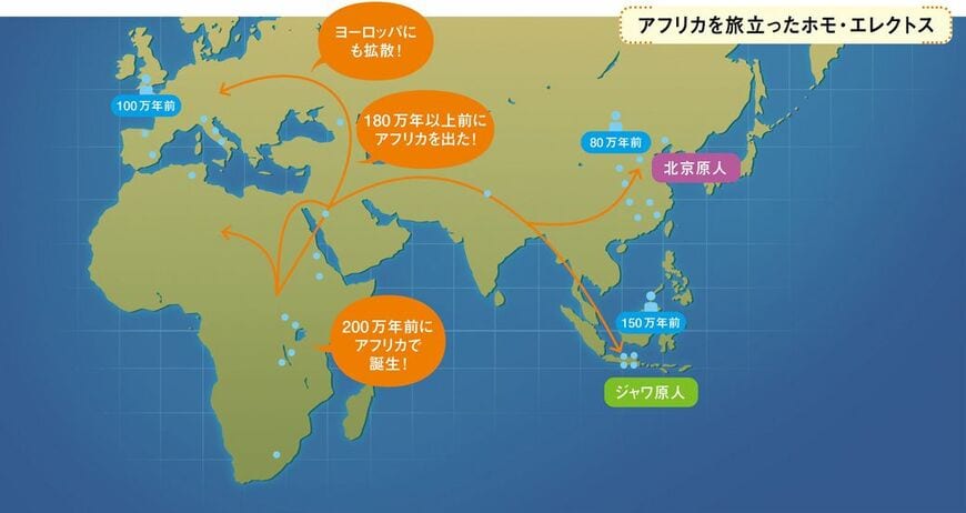 人類の起源