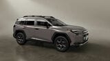 トヨタ RAV4（写真：トヨタ自動車）