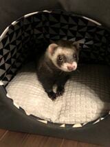 （写真提供：ミキさん）