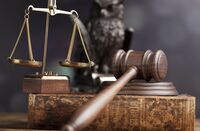 8人の若手が語る､イマドキ弁護士のホンネ