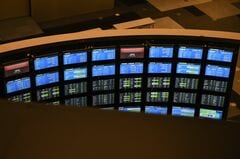 ROOT stock | root stock chicago