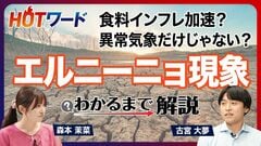 【食料品のさらなる高騰も？】｢エルニーニョ現象｣って何？／原油高と異常気象のダブルパンチ／最大…