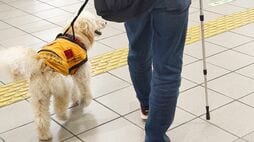 ｢働く犬はかわいそう｣との声もあるけど⋯スキルス性胃がんで闘病中の還暦夫を支える6歳介助犬が｢きっと幸せ｣な理由