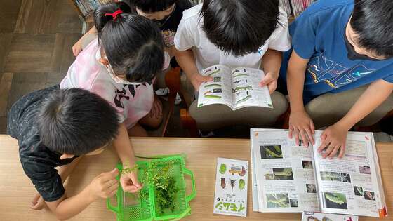子どもの探究が変わる｢学校図書館｣活用の極意