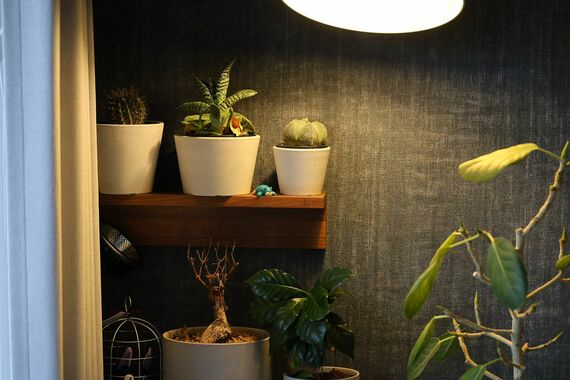 竹田さんの部屋