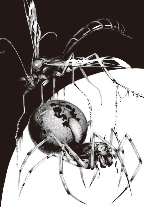 クモを薬漬けにし死ぬまで働かせるハチ の驚嘆 リーダーシップ 教養 資格 スキル 東洋経済オンライン 社会をよくする経済ニュース